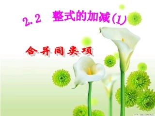 第二章第四节整式的加减.2.1(合并同类项)