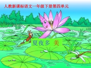 《夏夜多美》教学课件