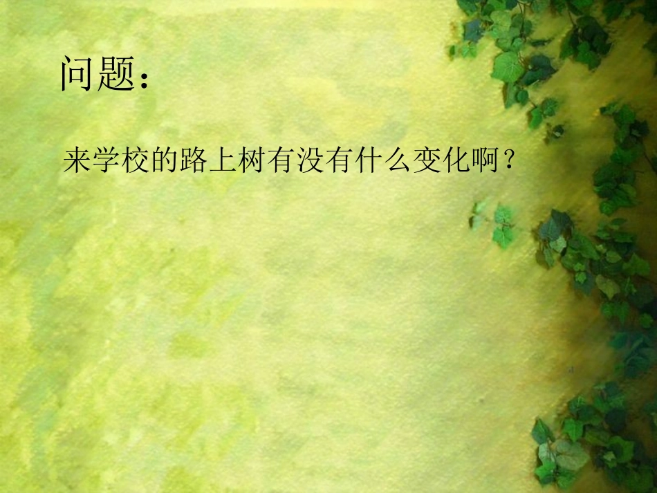 《认识身边的树》课件02_第2页