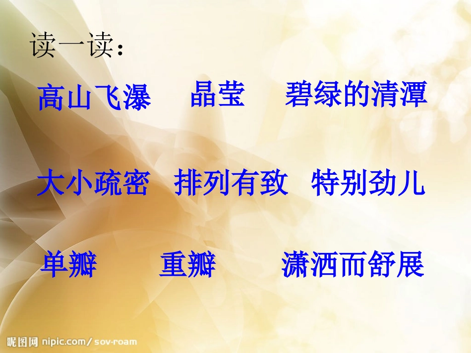三上《山茶花》PPT_第2页