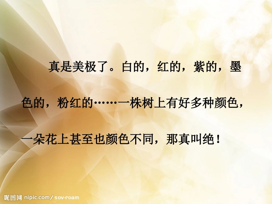 三上《山茶花》PPT_第3页