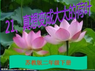 21.真想变成大大的荷叶(自备)