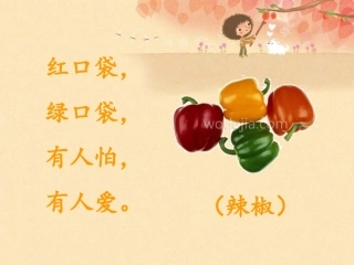 菜园里-7527
