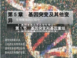 §5-1基因突变和基因重组