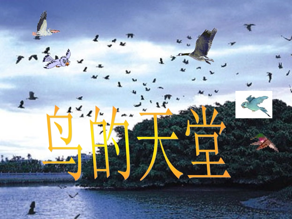 106鸟的天堂_第1页