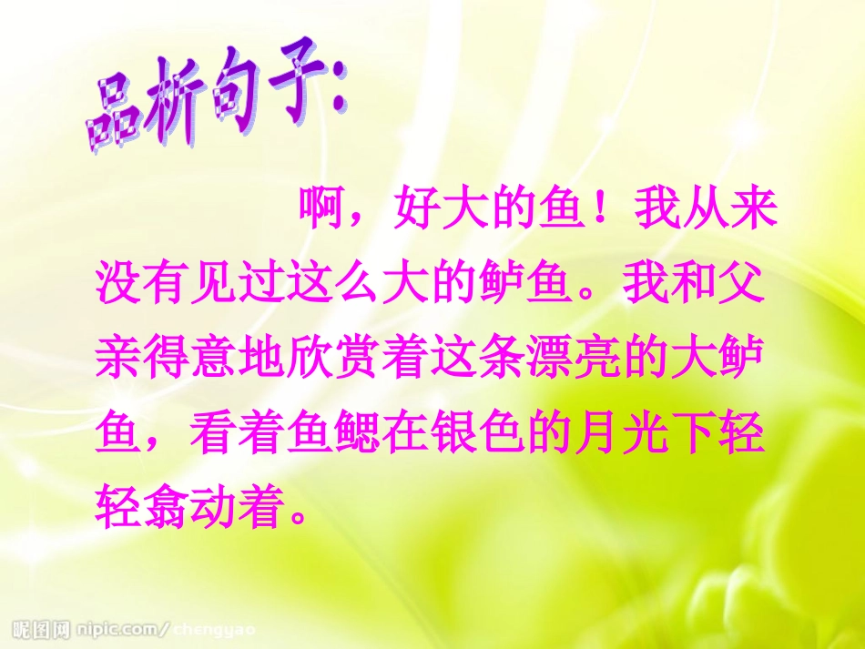 钓鱼的启示_课件_第3页