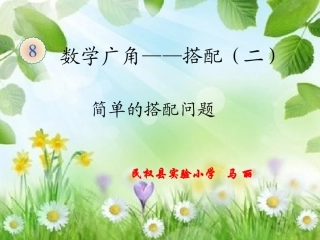 人教2011版小学数学三年级数学广角-搭配-(3)