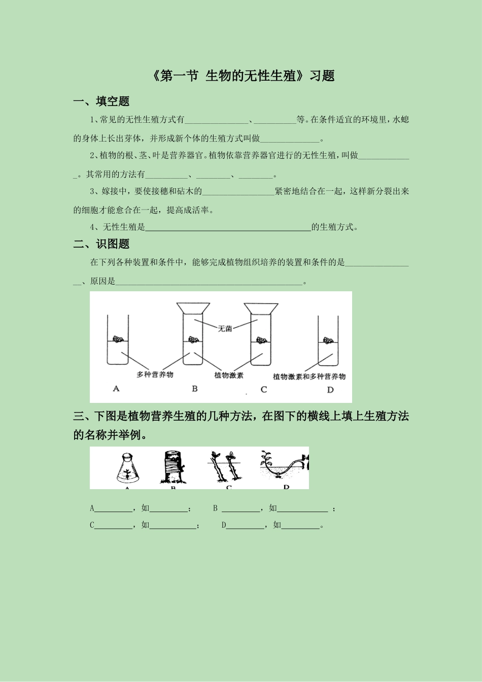 《第一节-生物的无性生殖》习题4_第1页