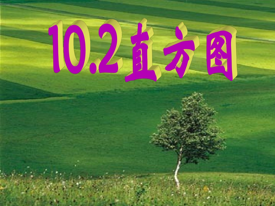 10.2-直方图(一)_第1页
