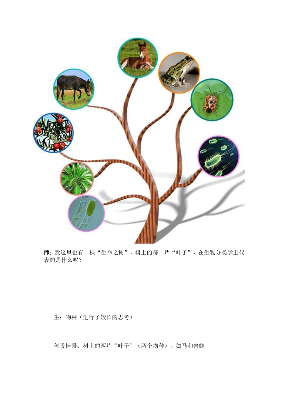 隔离与物种的形成_第3页