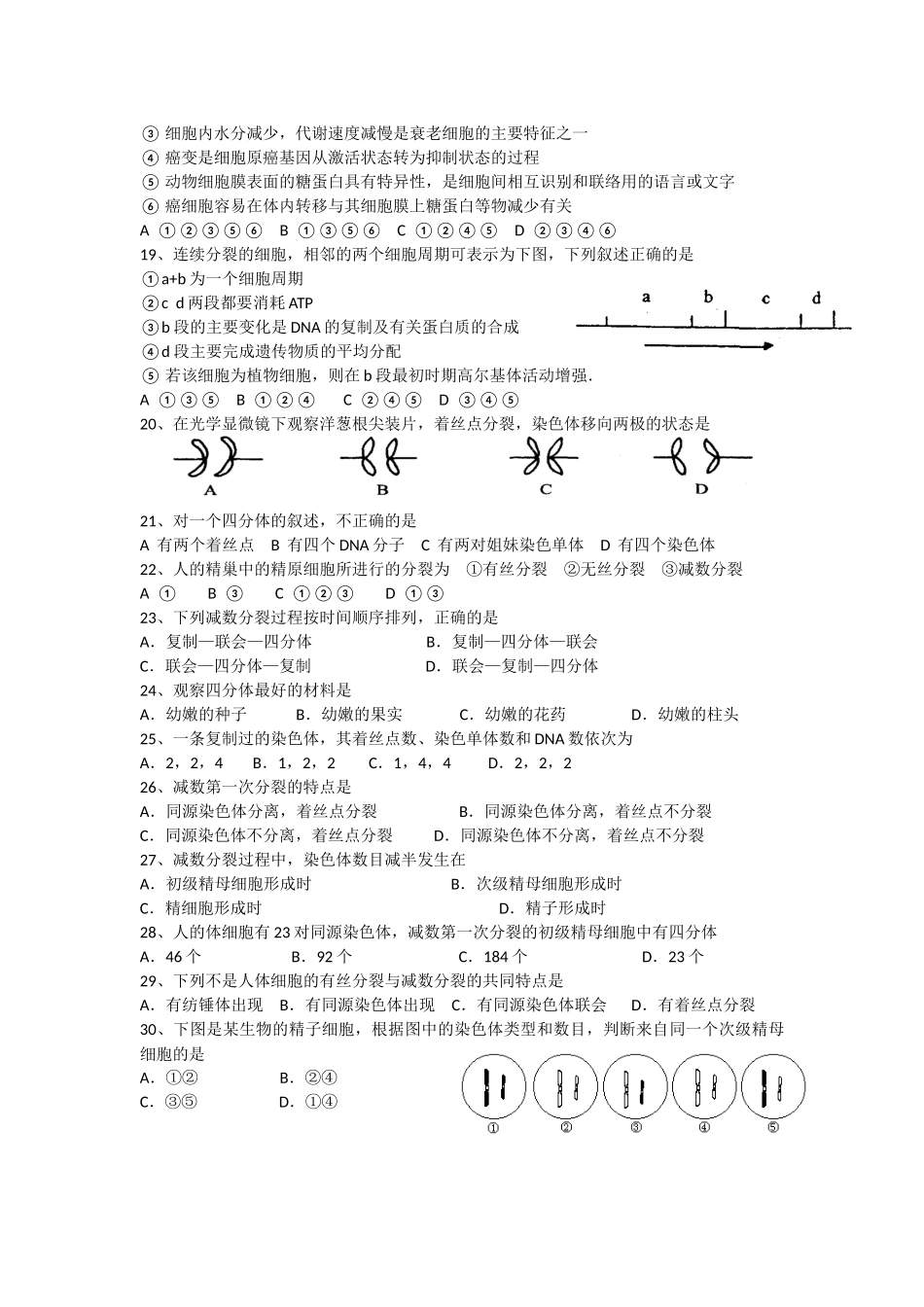 高中生物有丝分裂_第2页