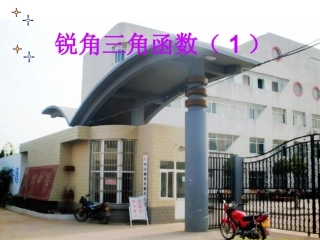 锐角三角函数(1)