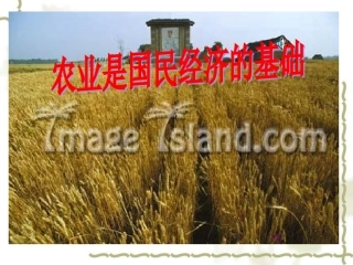 农业是国民经济的基础