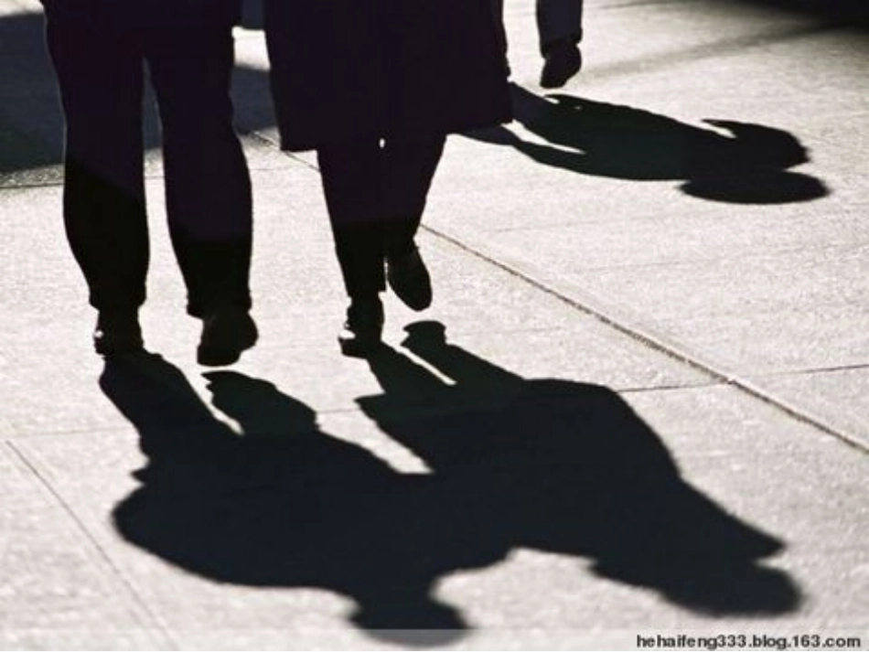 (部编)人教2011课标版一年级上册相随、奇妙的《影子》_第2页