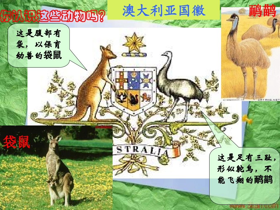 第八章第四节澳大利亚第一课时1_第1页