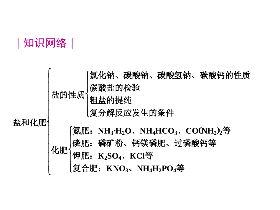 2012版中考一轮复习化学精品课件(含2011中考真题)第14课时盐和化肥(30)[1]_第2页