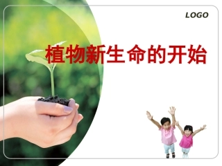 植物新生命的开始1