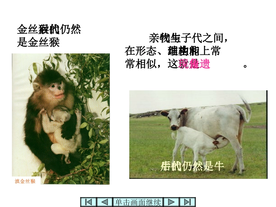 DNA是主要的遗传物质PPT_第2页