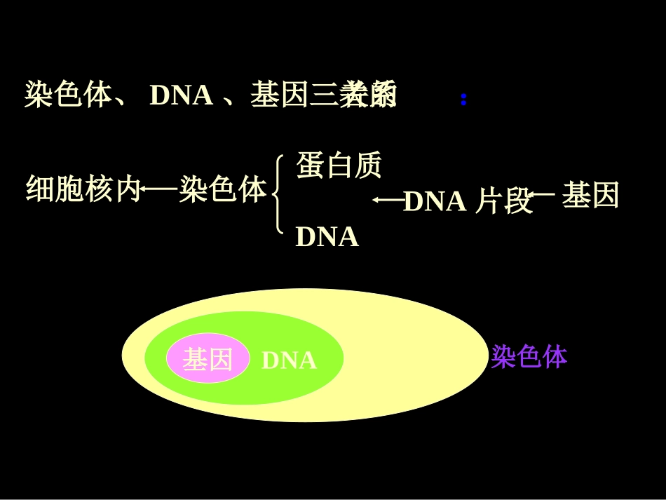 DNA是主要的遗传物质PPT_第3页
