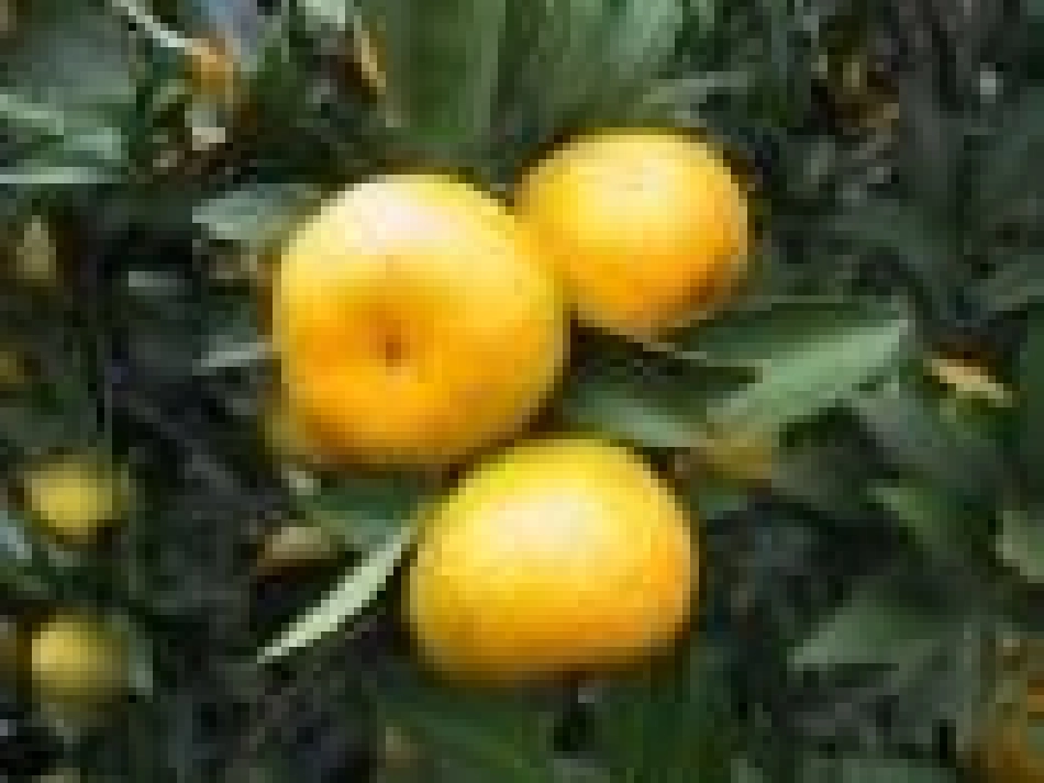 记叙中结合抒情和议论 (2)_第1页