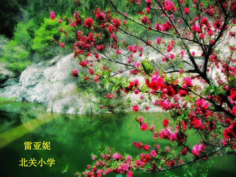 《要是你在野外迷了路》雷亚妮_第1页