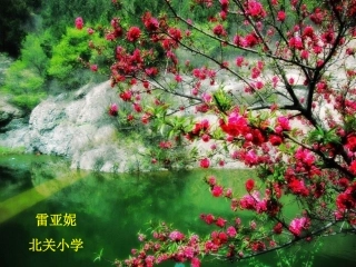 《要是你在野外迷了路》雷亚妮