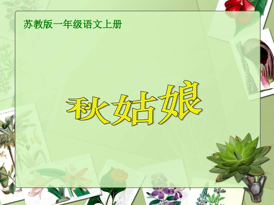 (2016年秋季版)《秋姑娘》课件3_第1页
