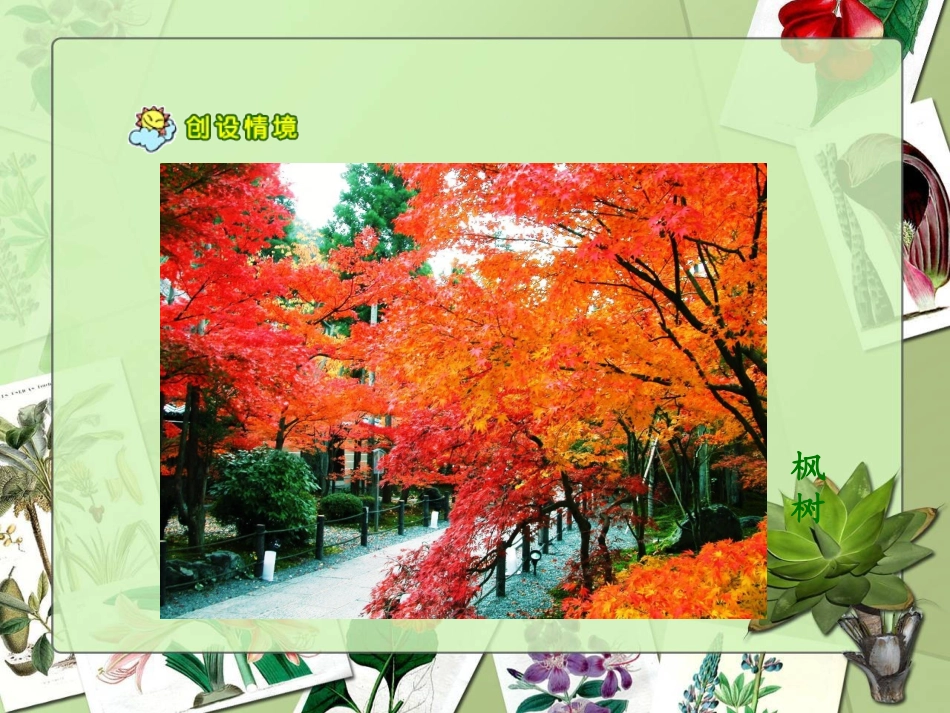 (2016年秋季版)《秋姑娘》课件3_第2页