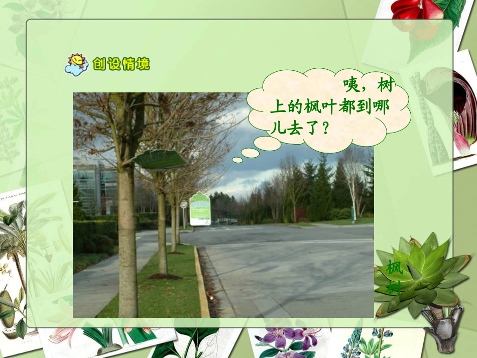 (2016年秋季版)《秋姑娘》课件3_第3页