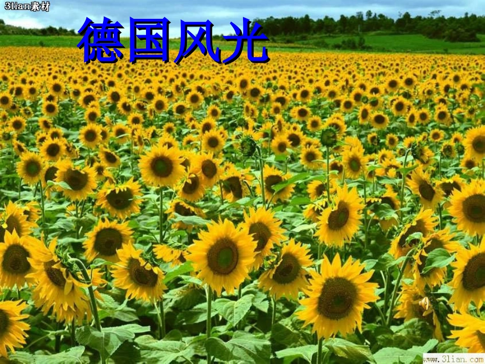 人教版小学语文五年级下册25课自己的花是给别人看的课件_第3页