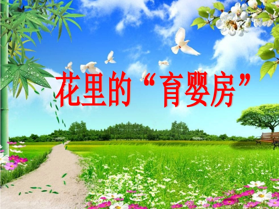 寻找花里的“育婴房”_第1页