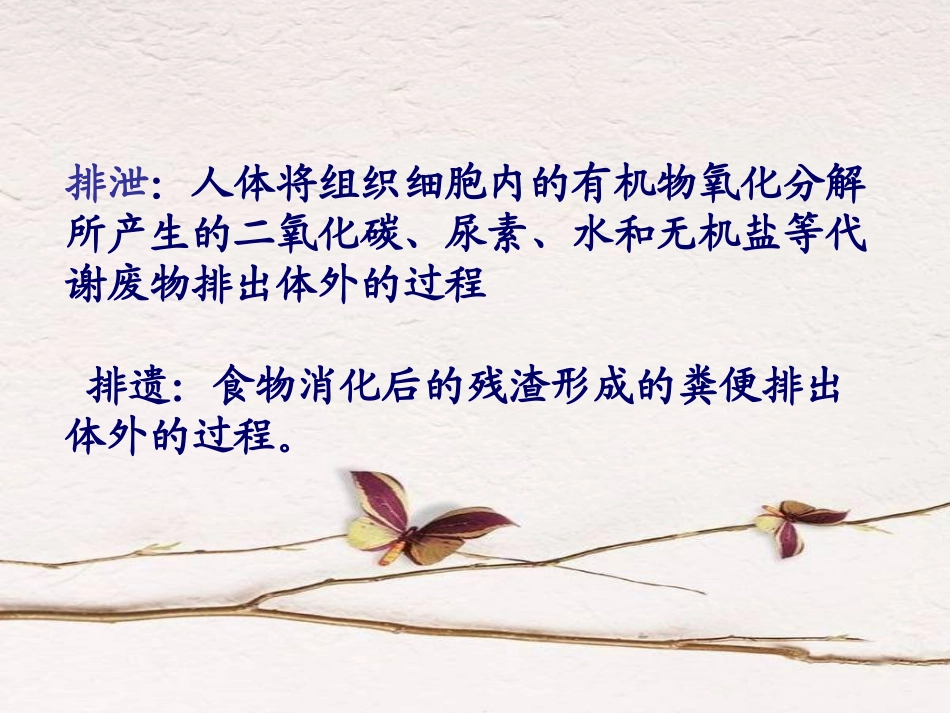 《人体内废物的排出》课件_第3页