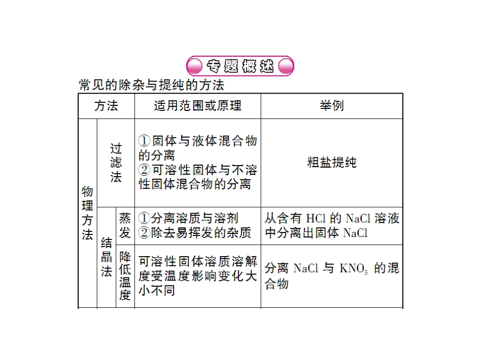 专题训练(三)物质的除杂与提纯_第2页