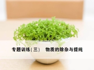 专题训练(三)物质的除杂与提纯