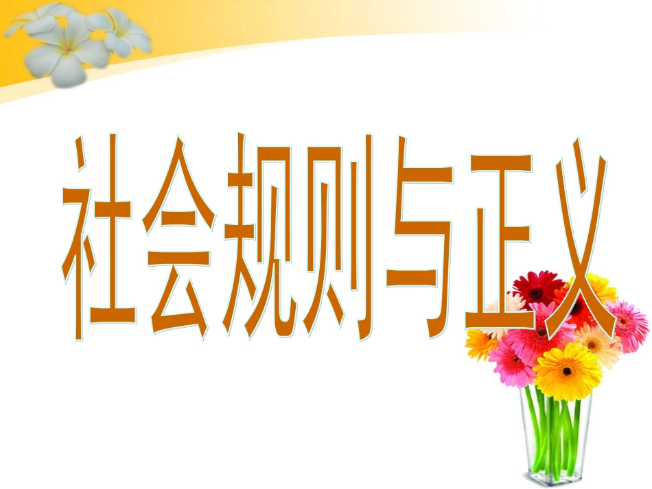 《社会规则与正义》课件1_第1页
