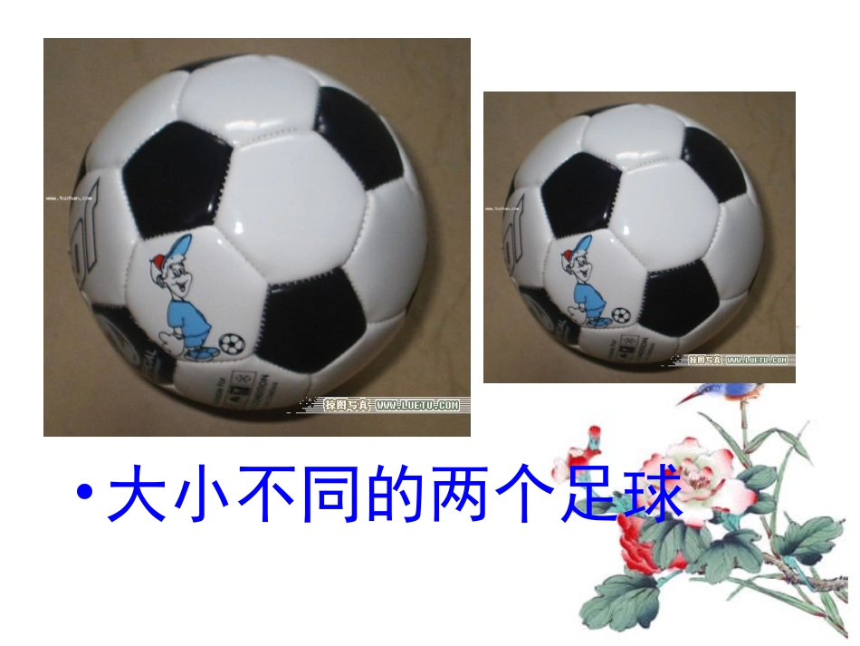 27.1图形的相似(第2课时)_第3页