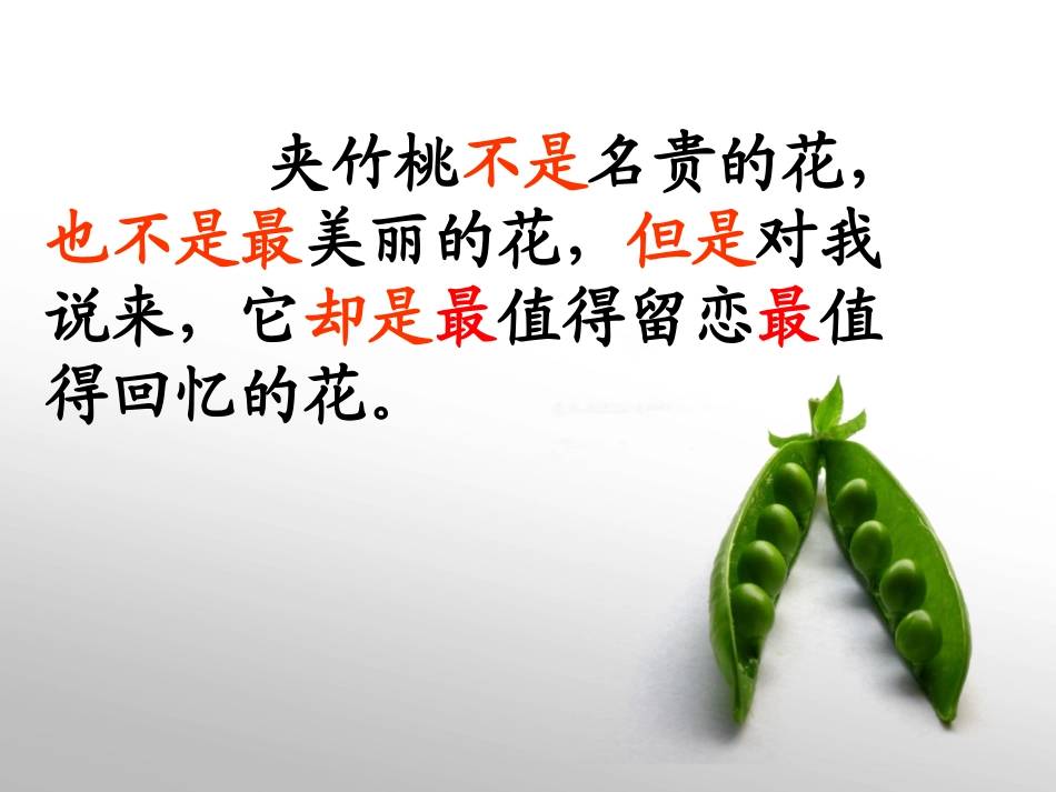 夹竹桃PPT_第2页