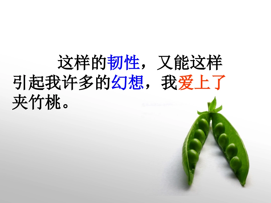夹竹桃PPT_第3页