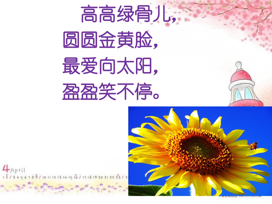 教科版小学品德与生活一年级下册《有趣的植物》课件设计_第2页