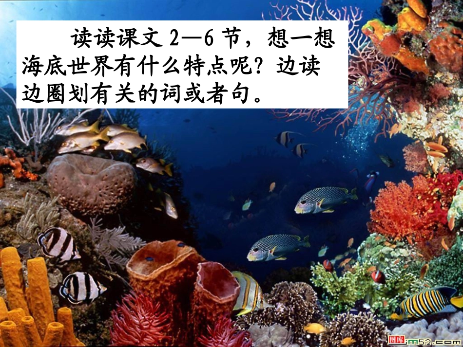 《海底世界》_第2页