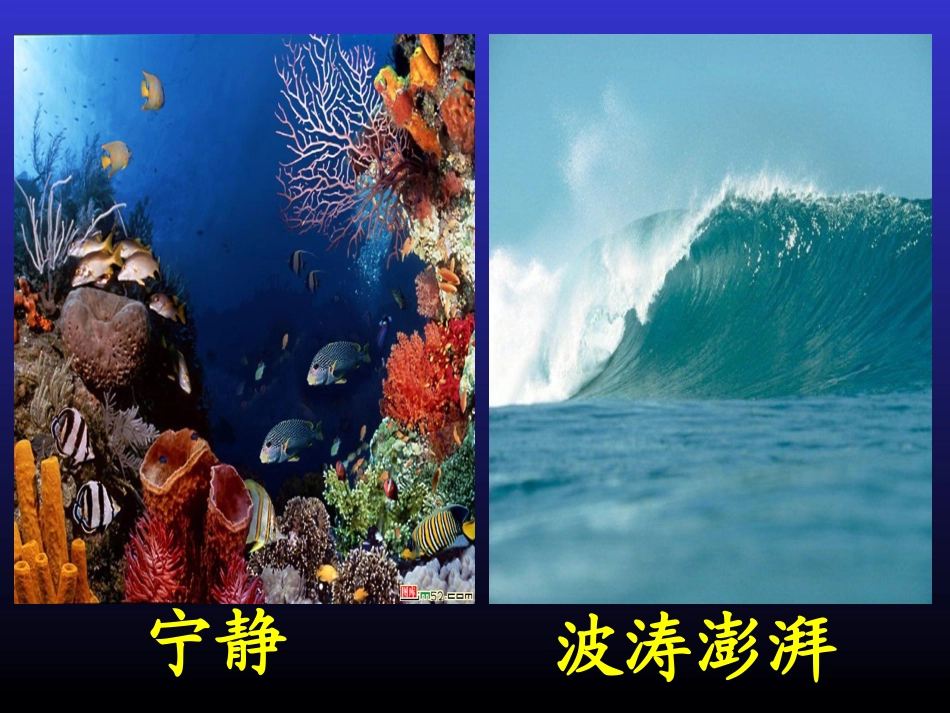 《海底世界》_第3页