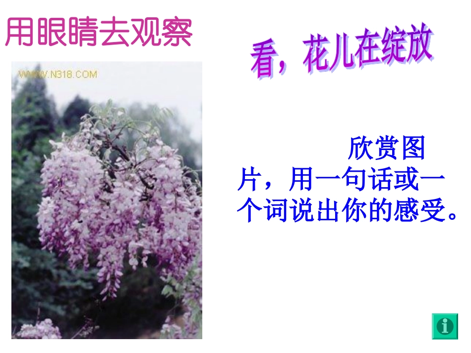 紫藤萝瀑布(用)1_第3页