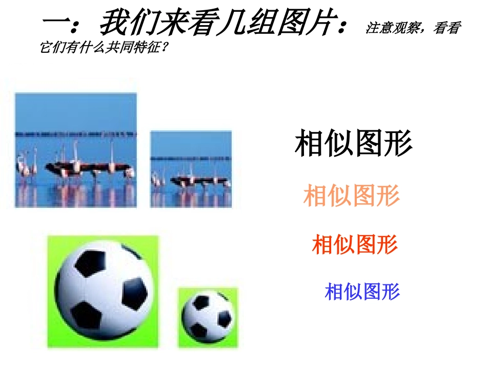 27.1--图形的相似-(第一课时)_第2页