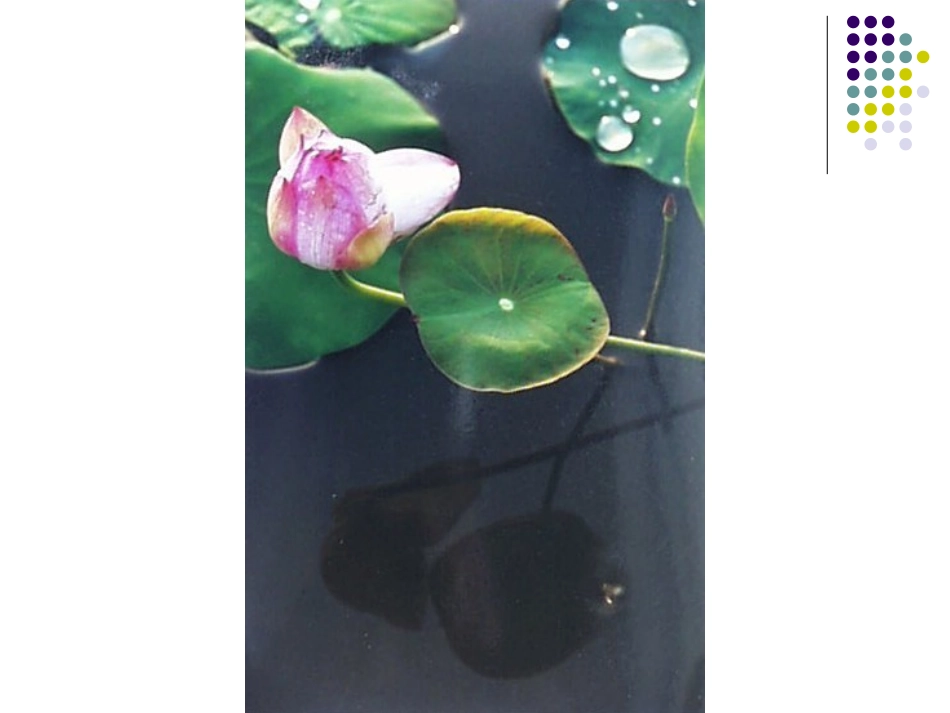 2.5液体的表面张力_第3页