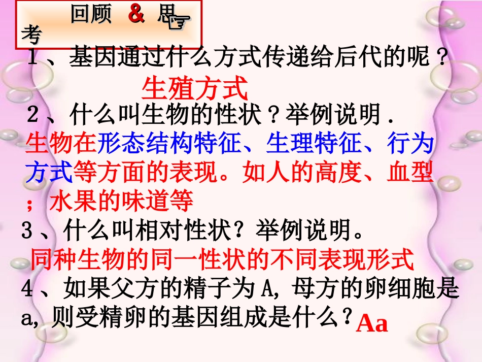 基因的显性和隐性课件_第2页