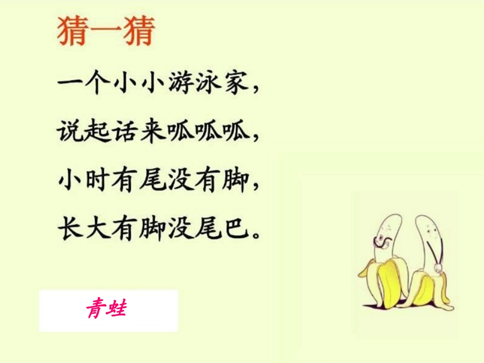 英山县实验小学芮丹《青蛙合唱》_第1页