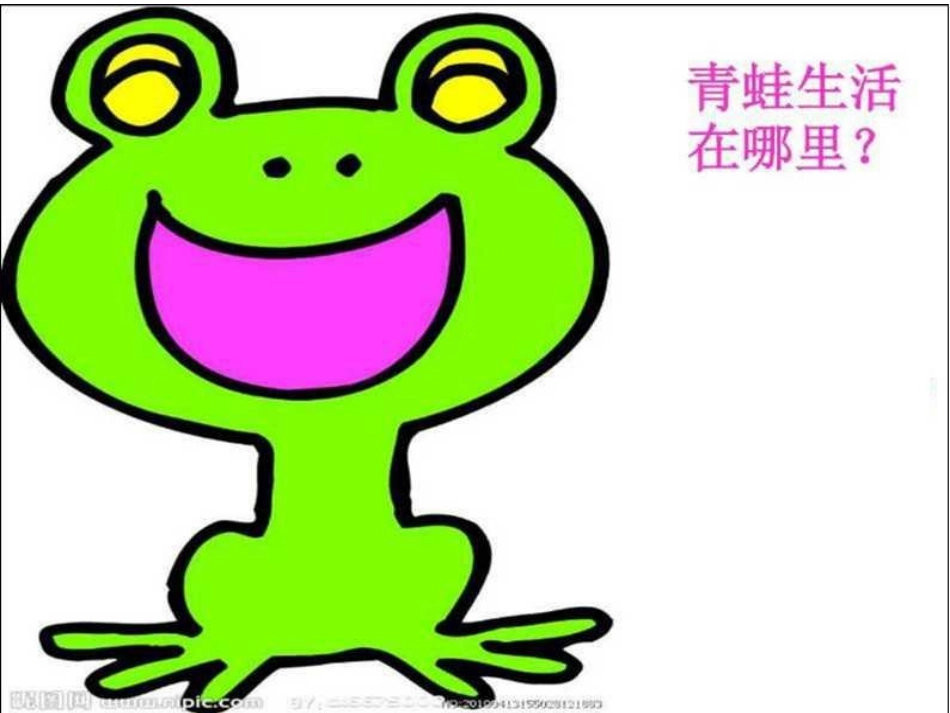 英山县实验小学芮丹《青蛙合唱》_第2页