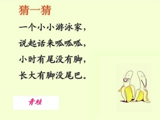 英山县实验小学芮丹《青蛙合唱》