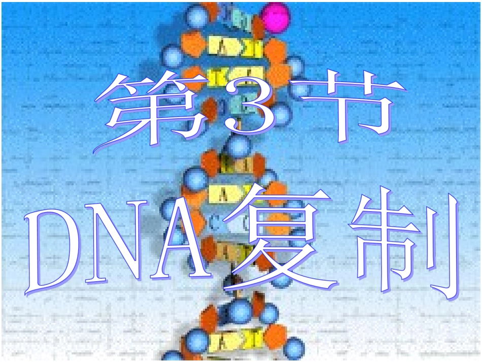人教版生物必修二3.3-DNA的复制-课件-(共39张PPT)_第1页