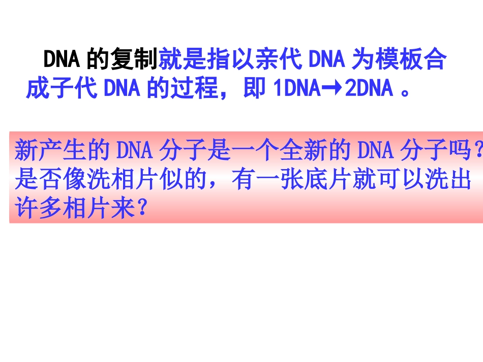 人教版生物必修二3.3-DNA的复制-课件-(共39张PPT)_第3页